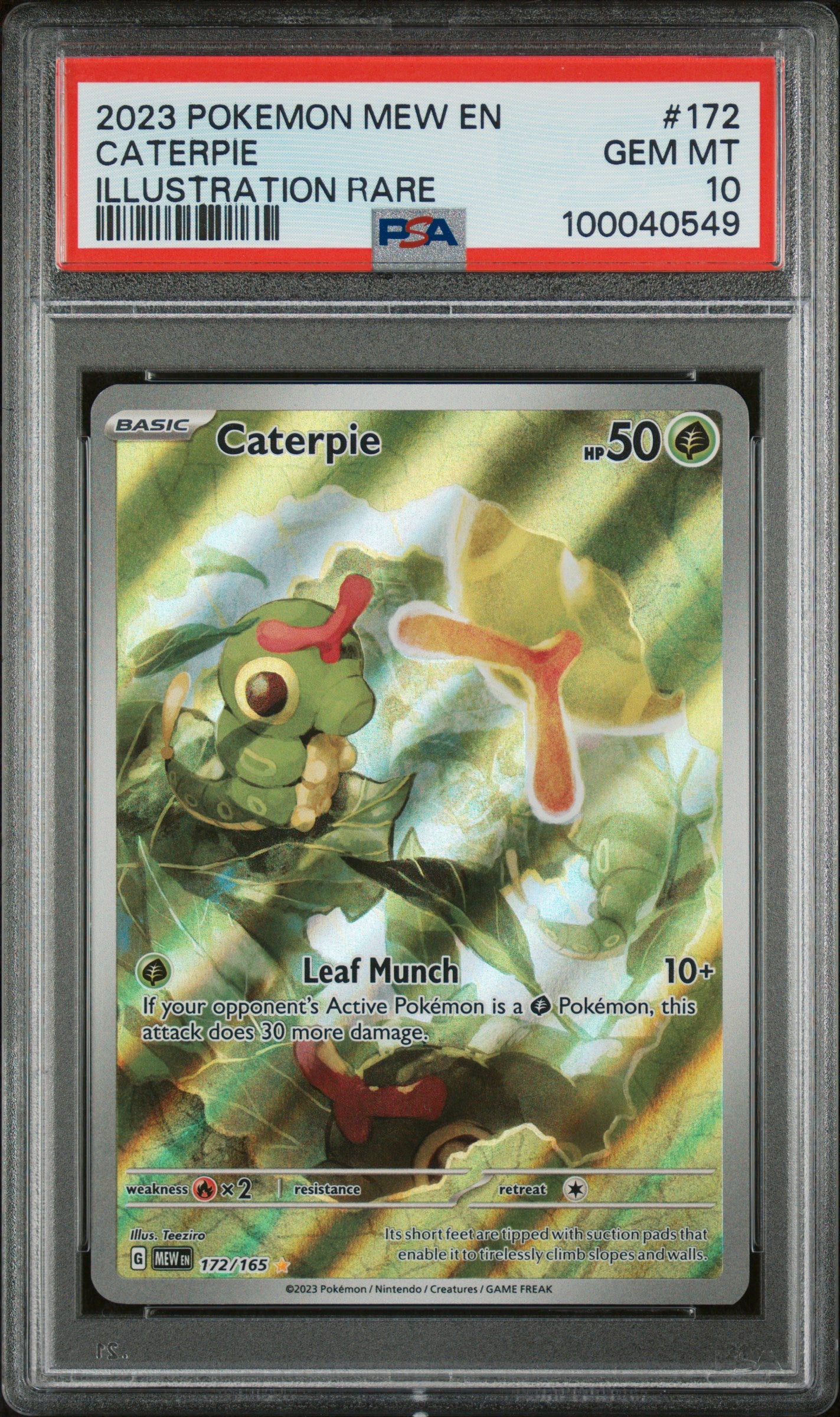 Front Image